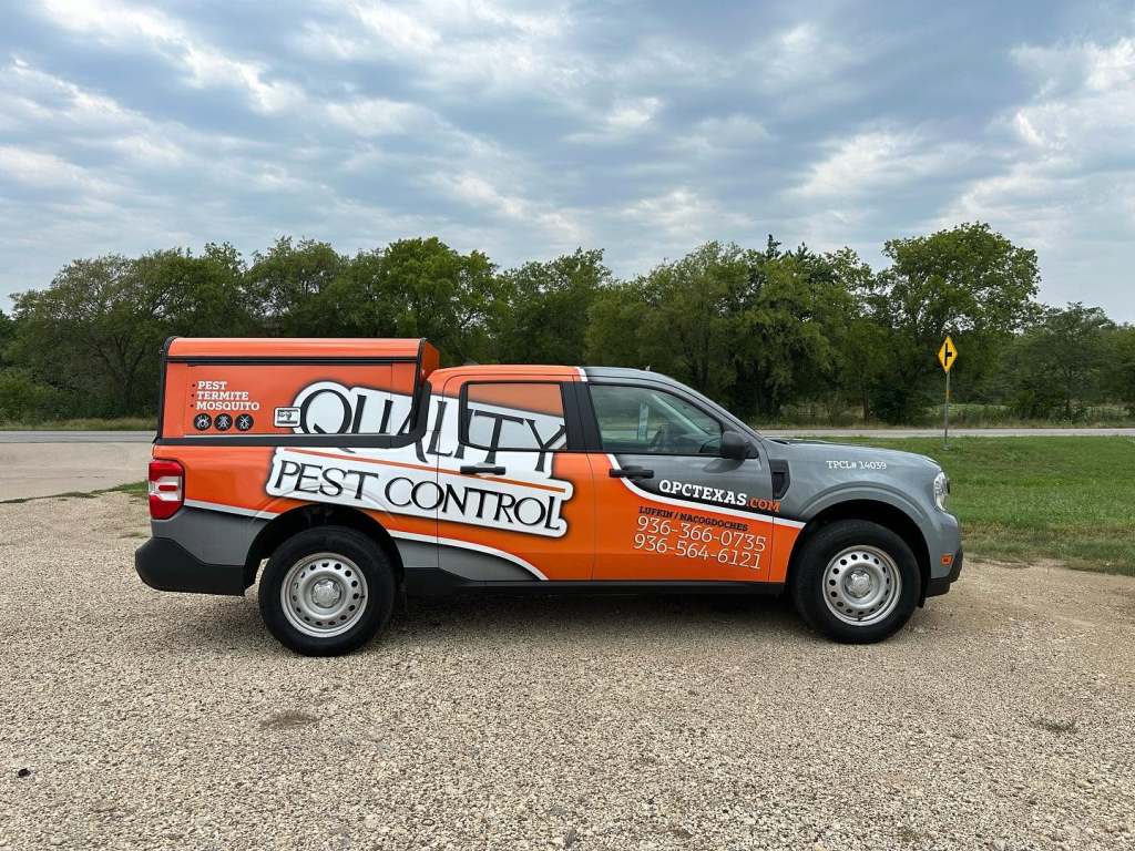 Partial wrap for Quality Pest Control on a Ford Maverick by 1st Class Graphics in Mansfield, TX
