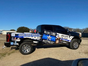 Blue line 4